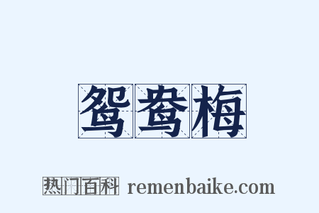 鸳鸯梅是什么意思的图片